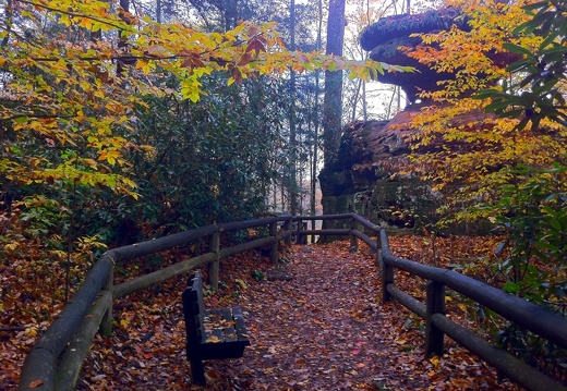 Natural Bridge State Park